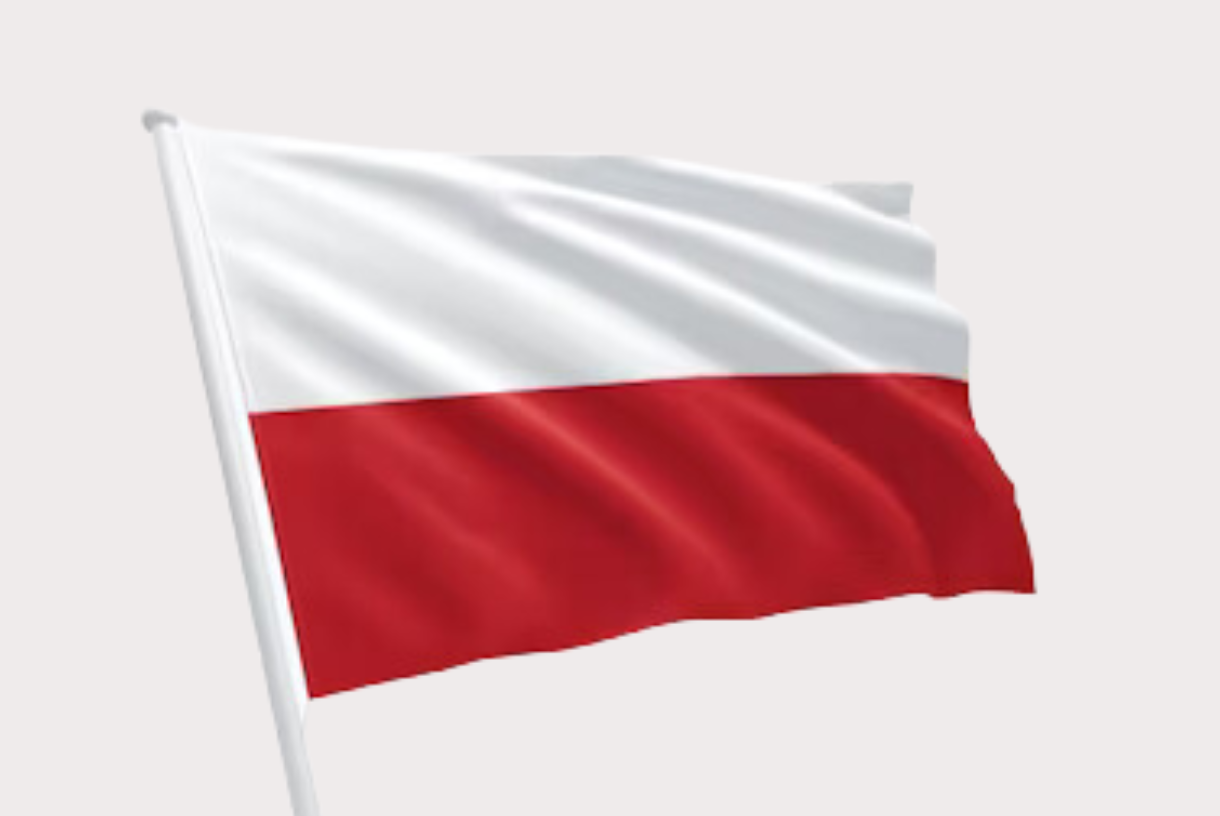 Šalių vėliavos - 17