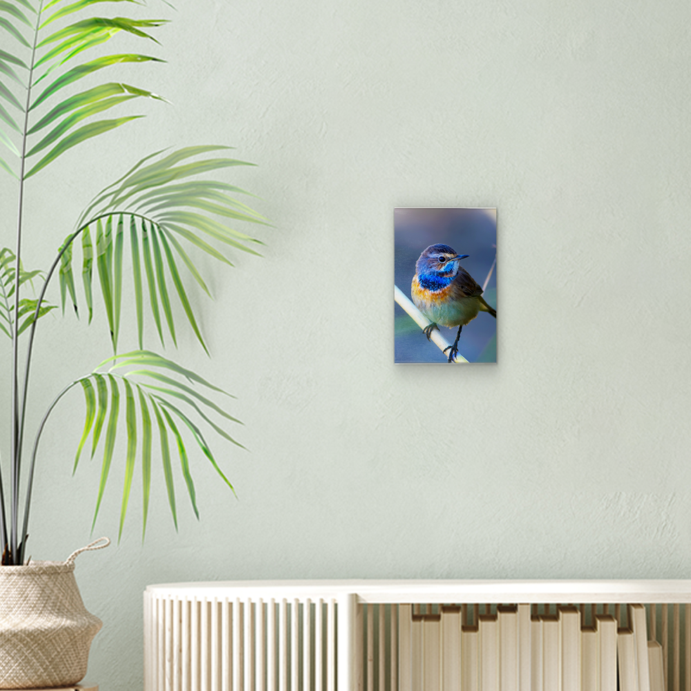 Canvas Photo Print