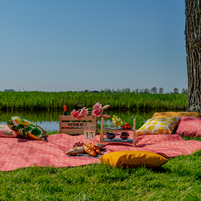 Pikniko antklodė - 2