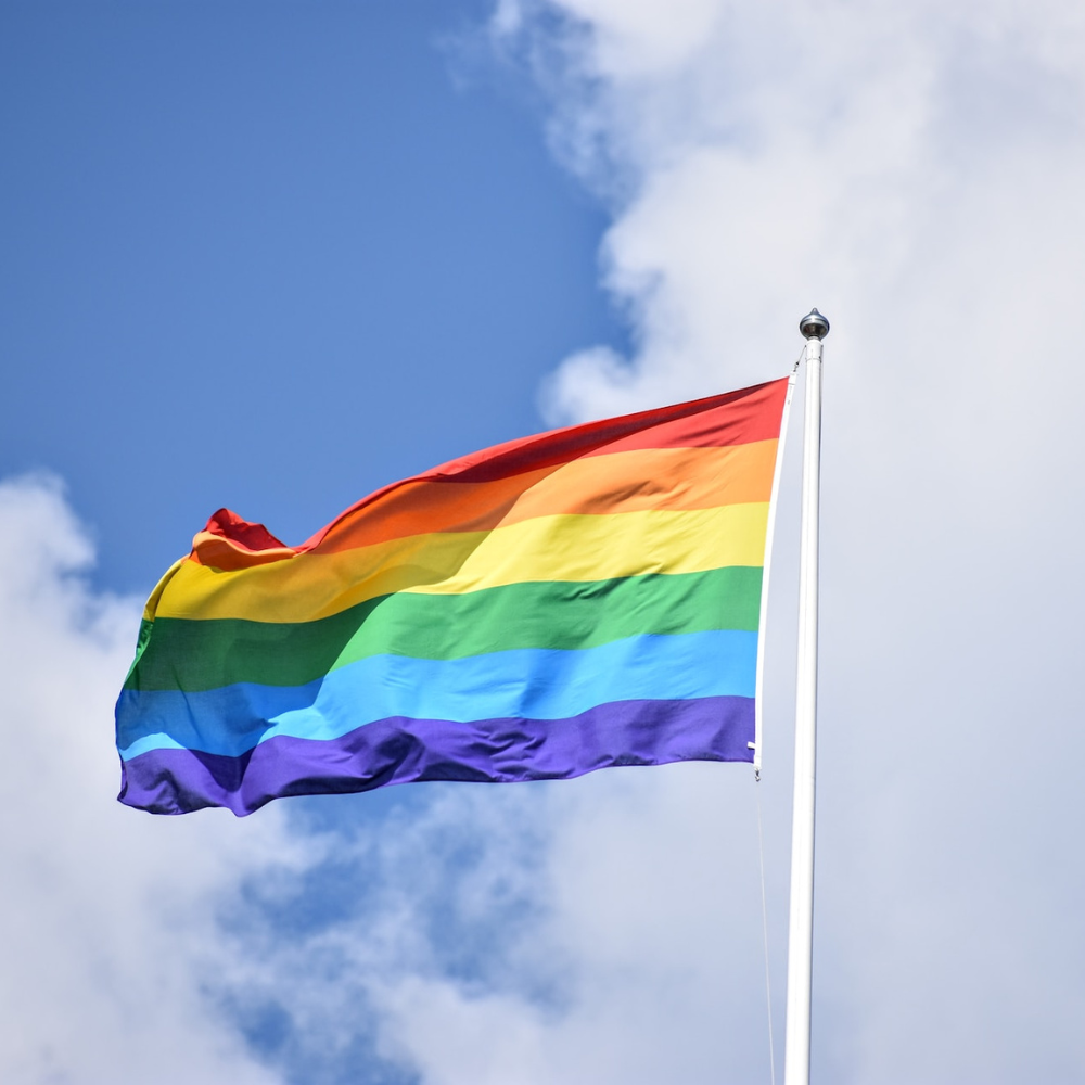 LGBT vėliava - 3
