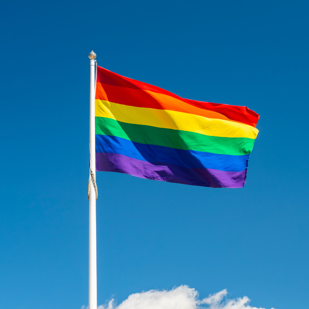 LGBT vėliava - 2